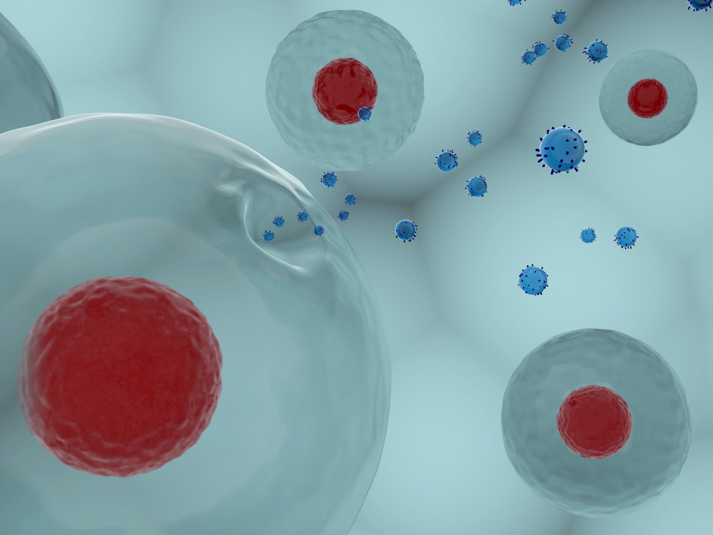 Self Photos / Files - Normal_Exosome