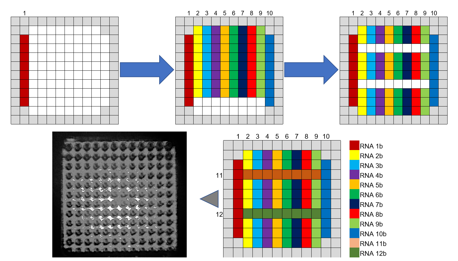 Self Photos / Files - QPLoC_vs_PCR_func