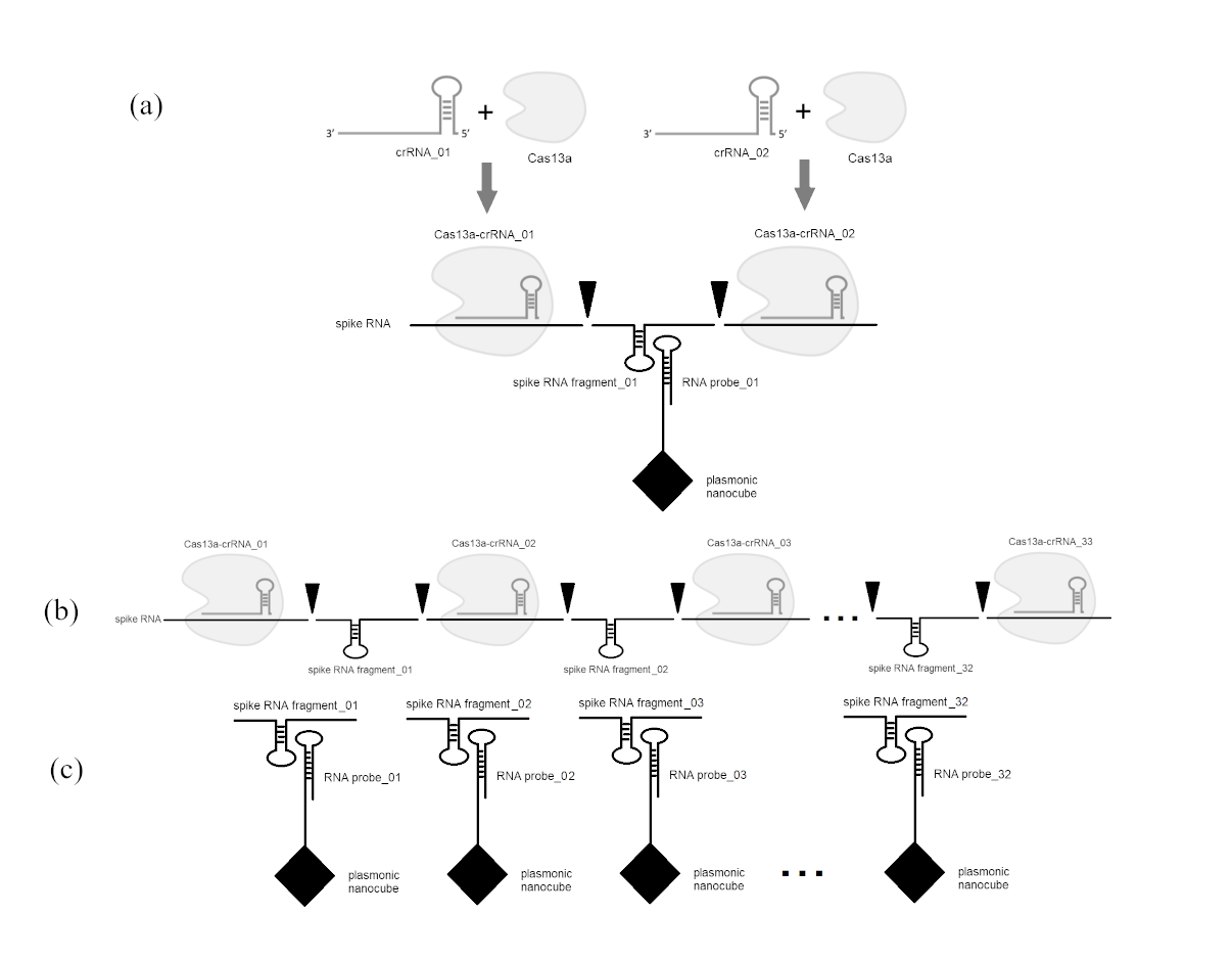 Self Photos / Files - QPLoC_vs_PCR2